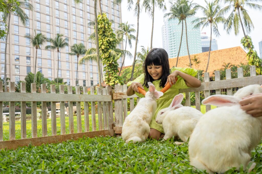 A girl feeds carrots to rabbits in the garden of the sultan hotel & residence jakarta
